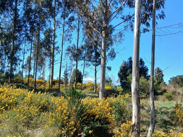 #SV-001 - Terreno en condominio para Venta en Puerto Varas - X