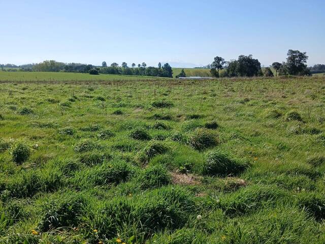 #SV-002 - Terreno para construcción para Venta en Puerto Varas - X