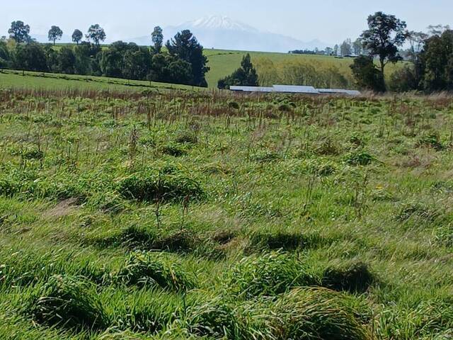 #SV-002 - Terreno para construcción para Venta en Puerto Varas - X