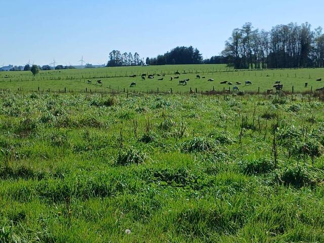 Terreno para construcción para Venta en Puerto Varas - 5