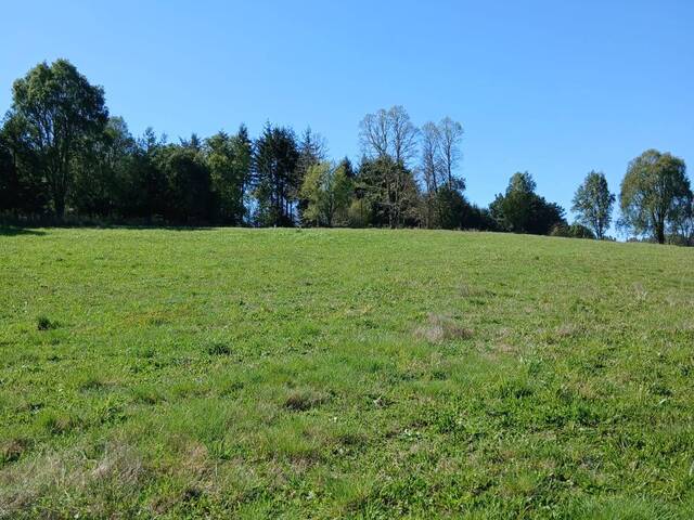 #SV-003 - Terreno para construcción para Venta en Frutillar - X