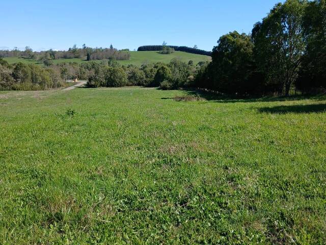 #SV-003 - Terreno para construcción para Venta en Frutillar - X