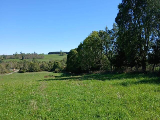 #SV-003 - Terreno para construcción para Venta en Frutillar - X