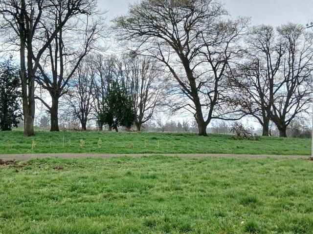 #SV-004A - Terreno para construcción para Venta en Osorno - X