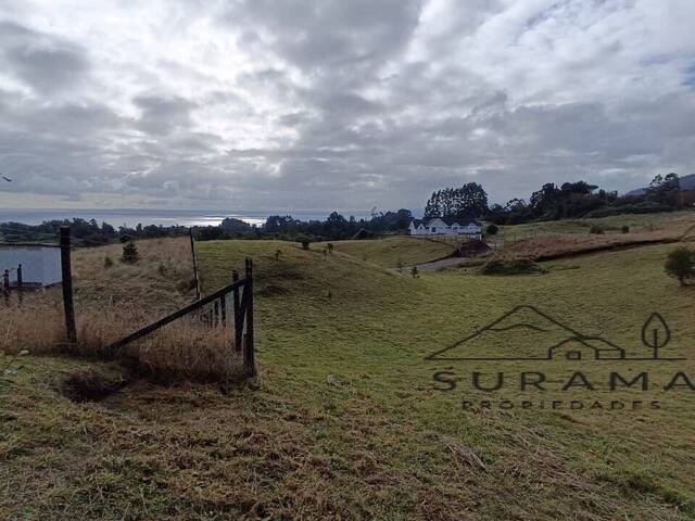 #SV-005 - Terreno para construcción para Venta en Puerto Varas - X