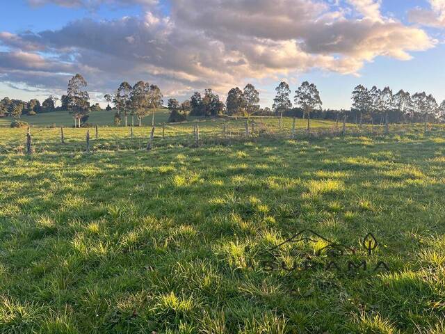 #SV-006 - Terreno para construcción para Venta en Puerto Varas - X