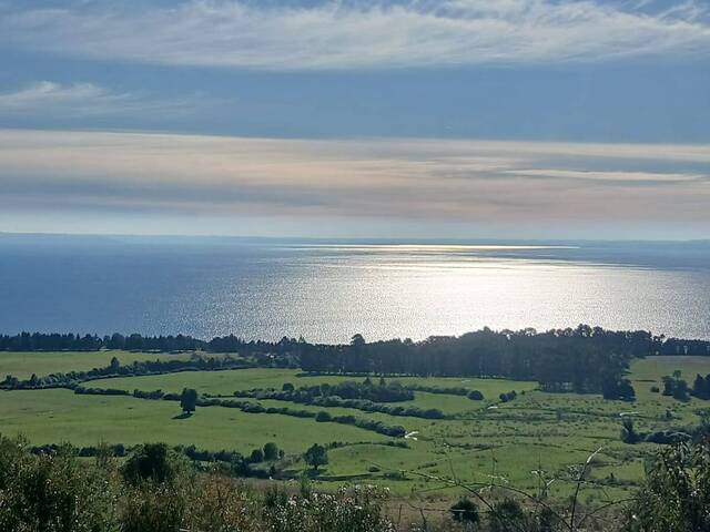 #SV-007 - Terreno para construcción para Venta en Puerto Varas - X