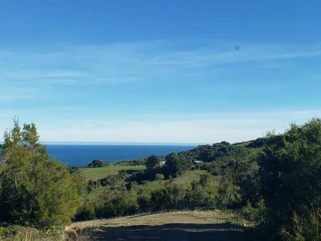 #SV-008 - Terreno para construcción para Venta en Los Muermos - X