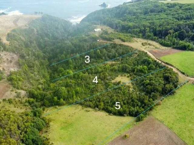 #SV-008 - Terreno para construcción para Venta en Los Muermos - X