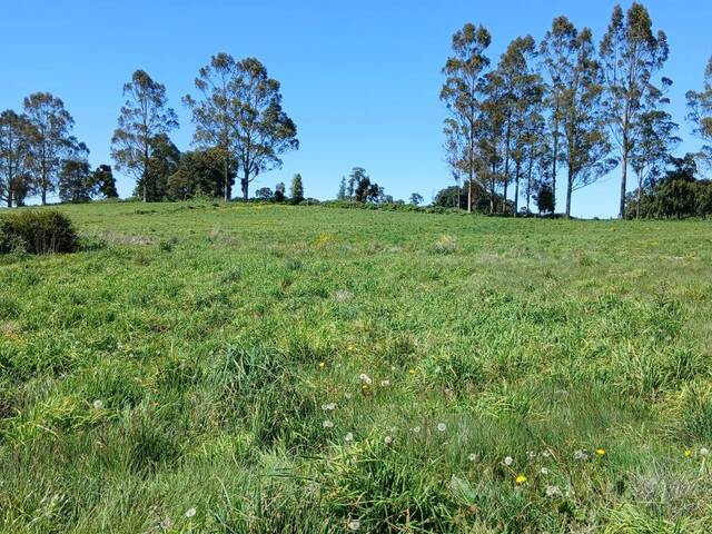 Terreno para construcción para Venta en Puerto Varas - 5