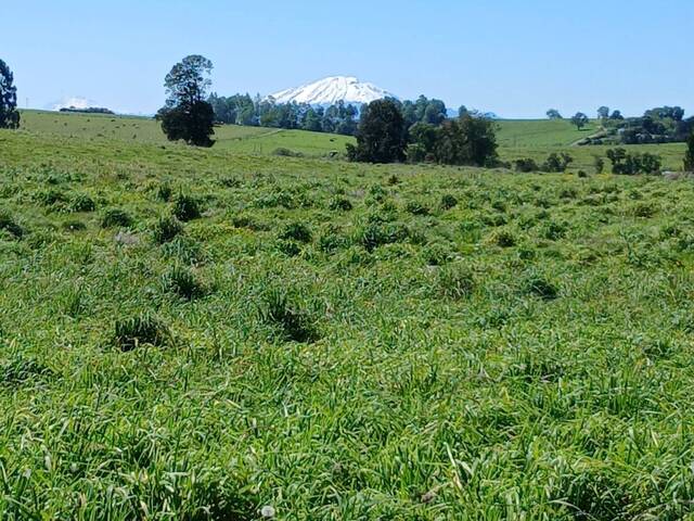 #SV-009 - Terreno para construcción para Venta en Puerto Varas - X