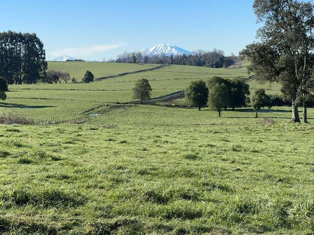 #SV-009 - Terreno para construcción para Venta en Puerto Varas - X