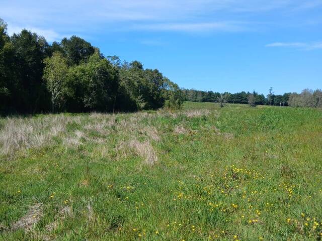 #SV-010 - Terreno para construcción para Venta en Puerto Varas - X