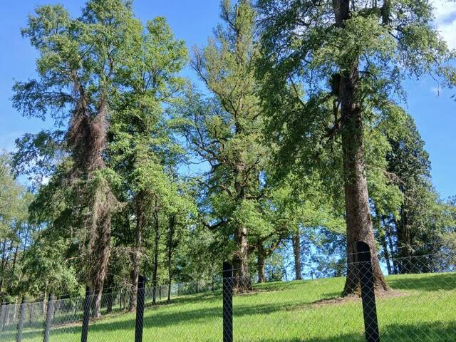 #SV-011 - Terreno para construcción para Venta en Puerto Varas - X