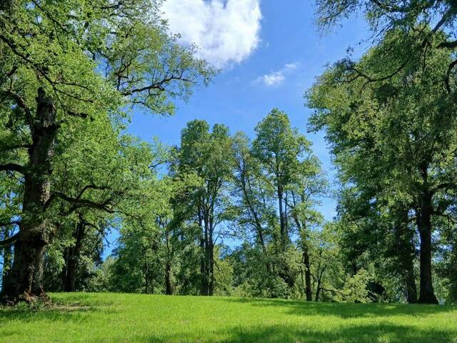 #SV-011 - Terreno para construcción para Venta en Puerto Varas - X