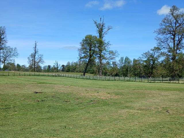 #SV-011 - Terreno para construcción para Venta en Frutillar - X - 2
