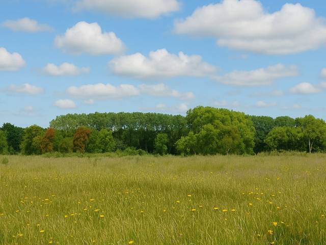 #SV-013 - Terreno en condominio para Venta en Frutillar - X