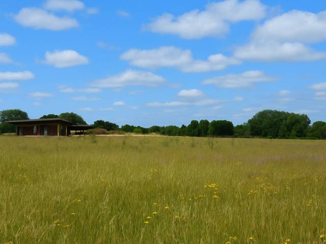 #SV-013 - Terreno en condominio para Venta en Frutillar - X