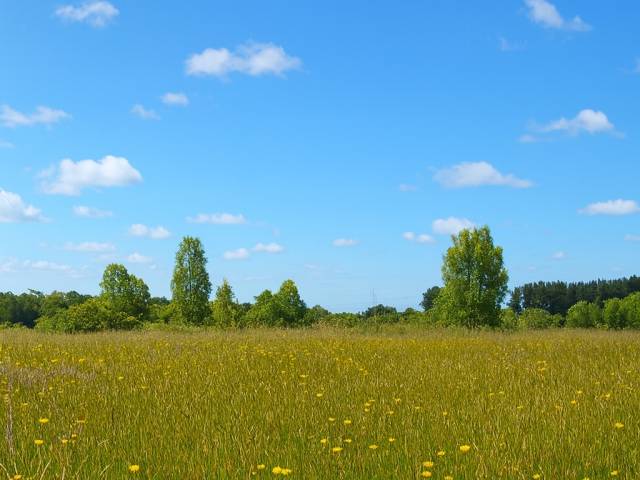 #SV-013 - Terreno en condominio para Venta en Frutillar - X