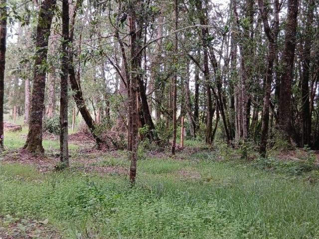 #SV-014 - Terreno para construcción para Venta en Frutillar - X