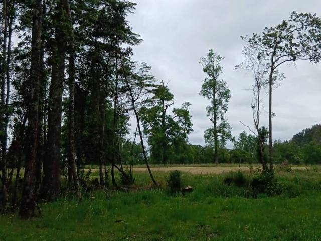 #SV-014 - Terreno para construcción para Venta en Frutillar - X