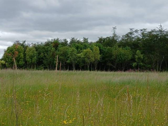 #SV-015 - Terreno para construcción para Venta en Puerto Varas - X