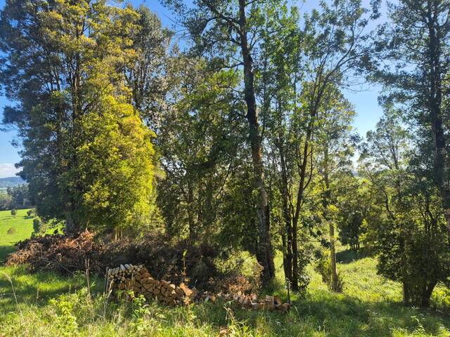 #SV-019 - Terreno en condominio para Venta en Puerto Varas - X - 2