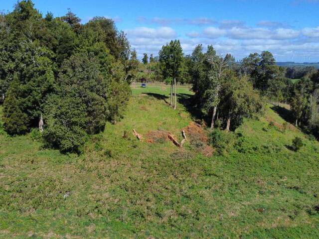 #SV-019 - Terreno en condominio para Venta en Puerto Varas - X - 3