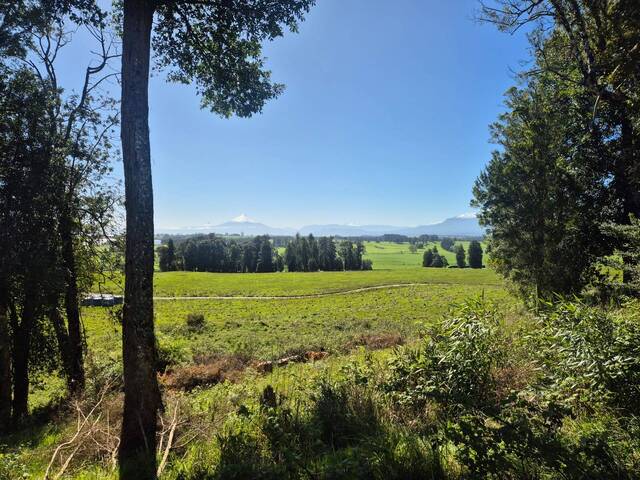 #SV-019 - Terreno en condominio para Venta en Puerto Varas - X - 1