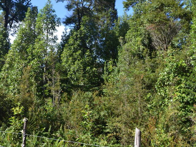 #SV-021 - Área para Venta en Puerto Montt - X - 3