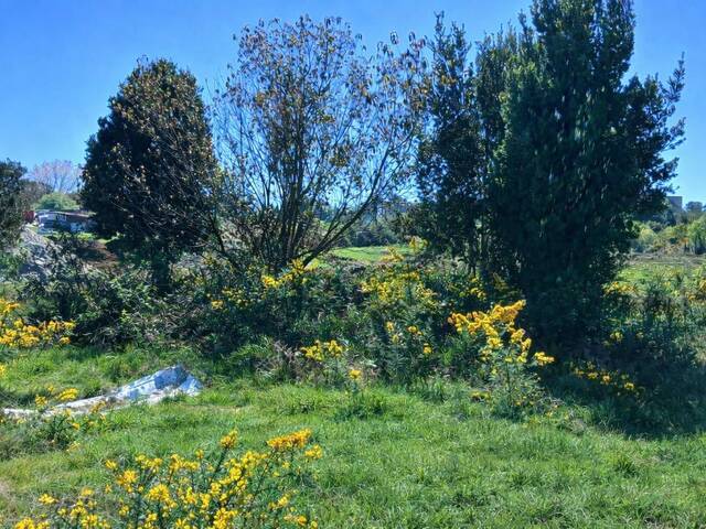 #SV-001 - Terreno en condominio para Venta en Puerto Varas - X - 3