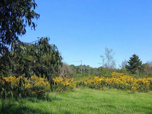 #SV-001 - Terreno en condominio para Venta en Puerto Varas - X - 1