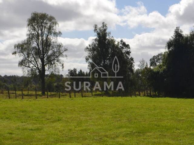 #SV-012 - Terreno para construcción para Venta en Puerto Varas - X - 3