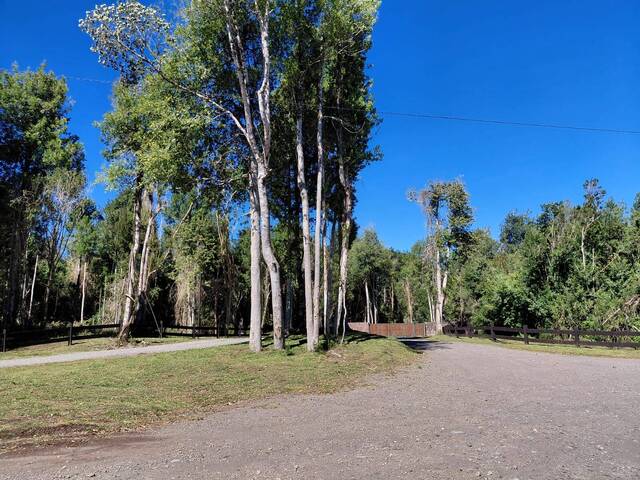 #SC-004 - Área para Venta en Puerto Varas - X - 3