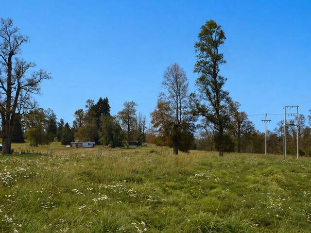 #SV-023 - Área para Venta en Frutillar - X - 2