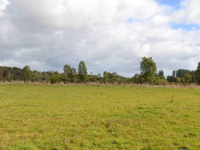 #SV-013 - Terreno en condominio para Venta en Frutillar - X - 1