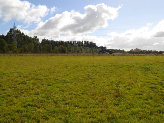 #SV-013 - Terreno en condominio para Venta en Frutillar - X - 2