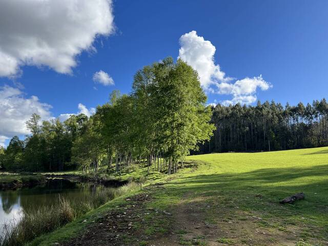 #SB-002 - Área para Venta en Villarrica - IX - 2