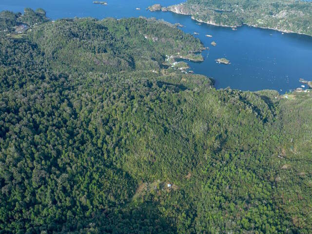 #SV-026 - Área para Venta en Cochamó - X