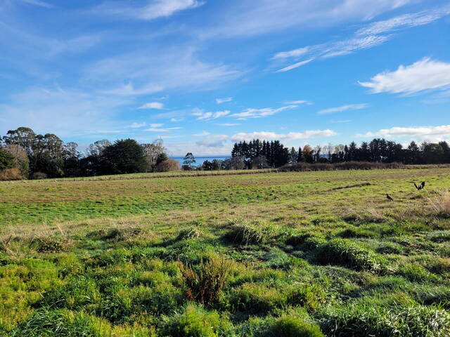 #SV-027 - Área para Venta en Puerto Varas - X