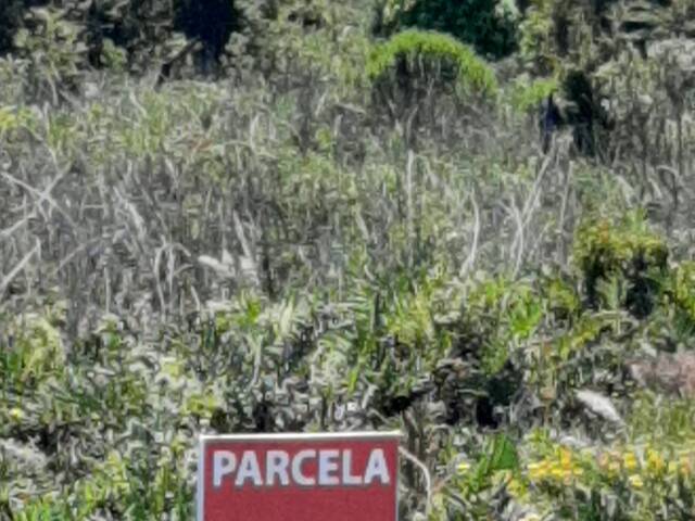 #SV-28 - Área para Venta en Puerto Varas - X - 2