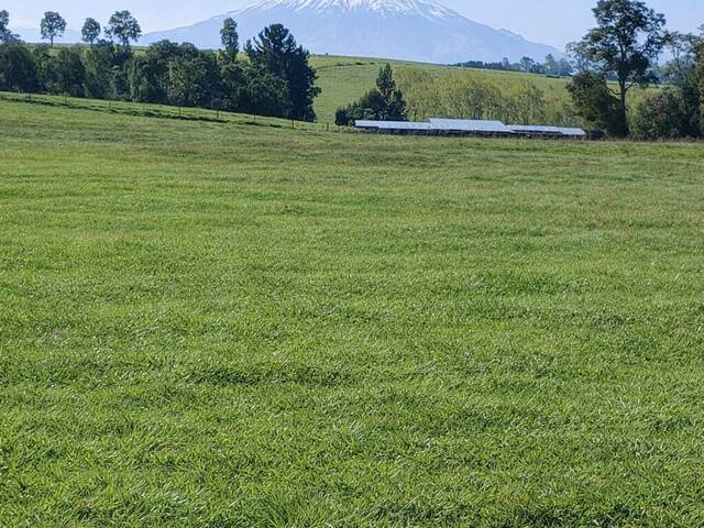 Venta en Linea Balmaceda - Puerto Varas